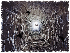tunnel_of_bats.gif